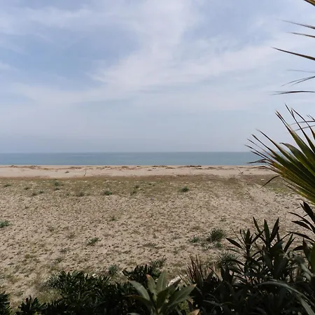 The Sea Under The House